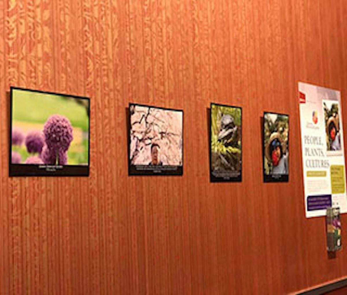 People. Plants. Cultures.